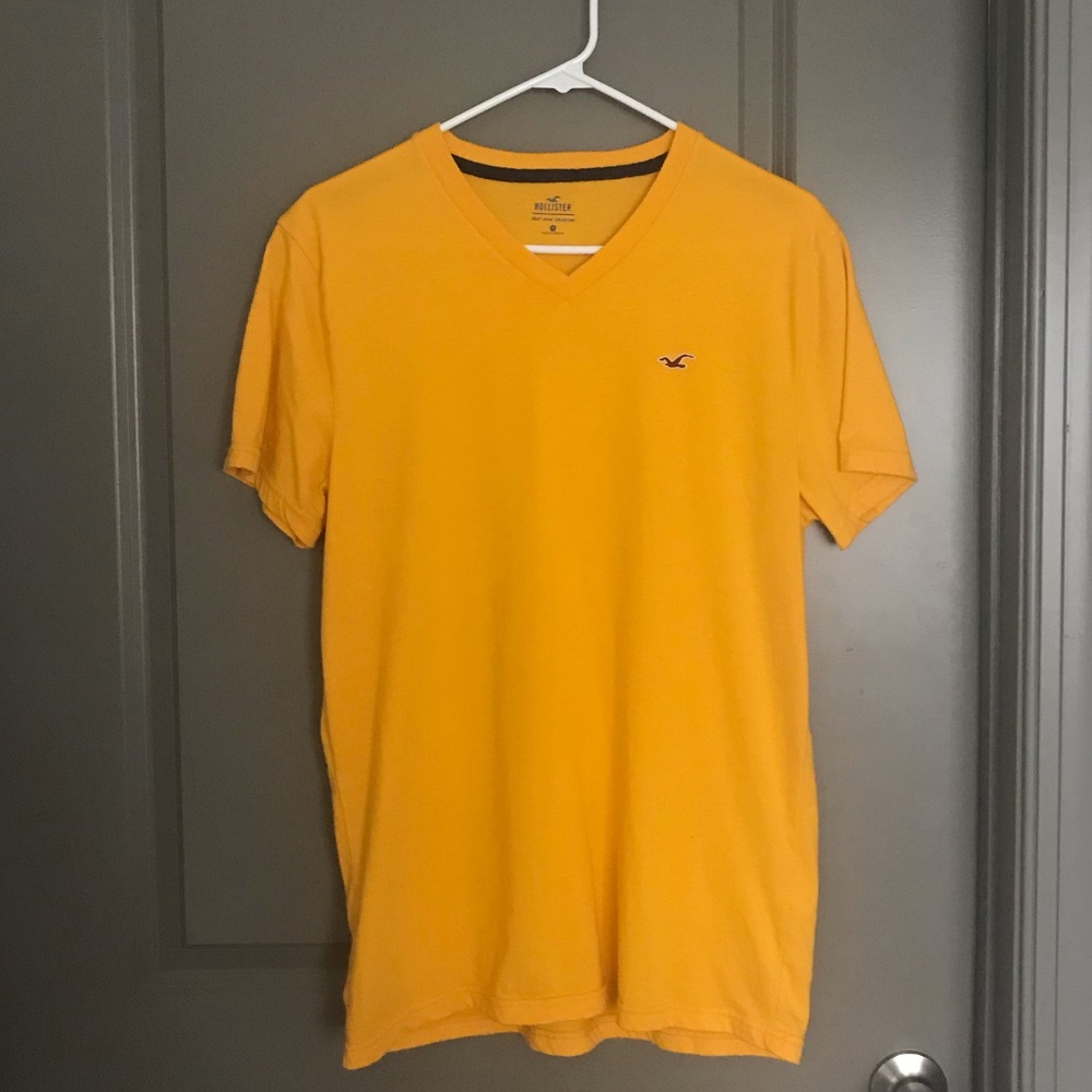 Hollister V neck Tee